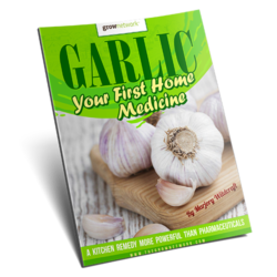 garlic-report_mock-up 500x500